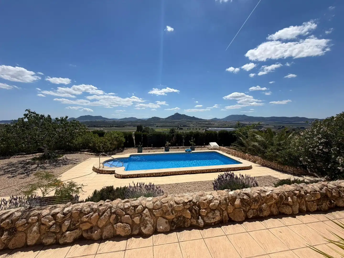 Chalet en venta en Sax, imagen 10
