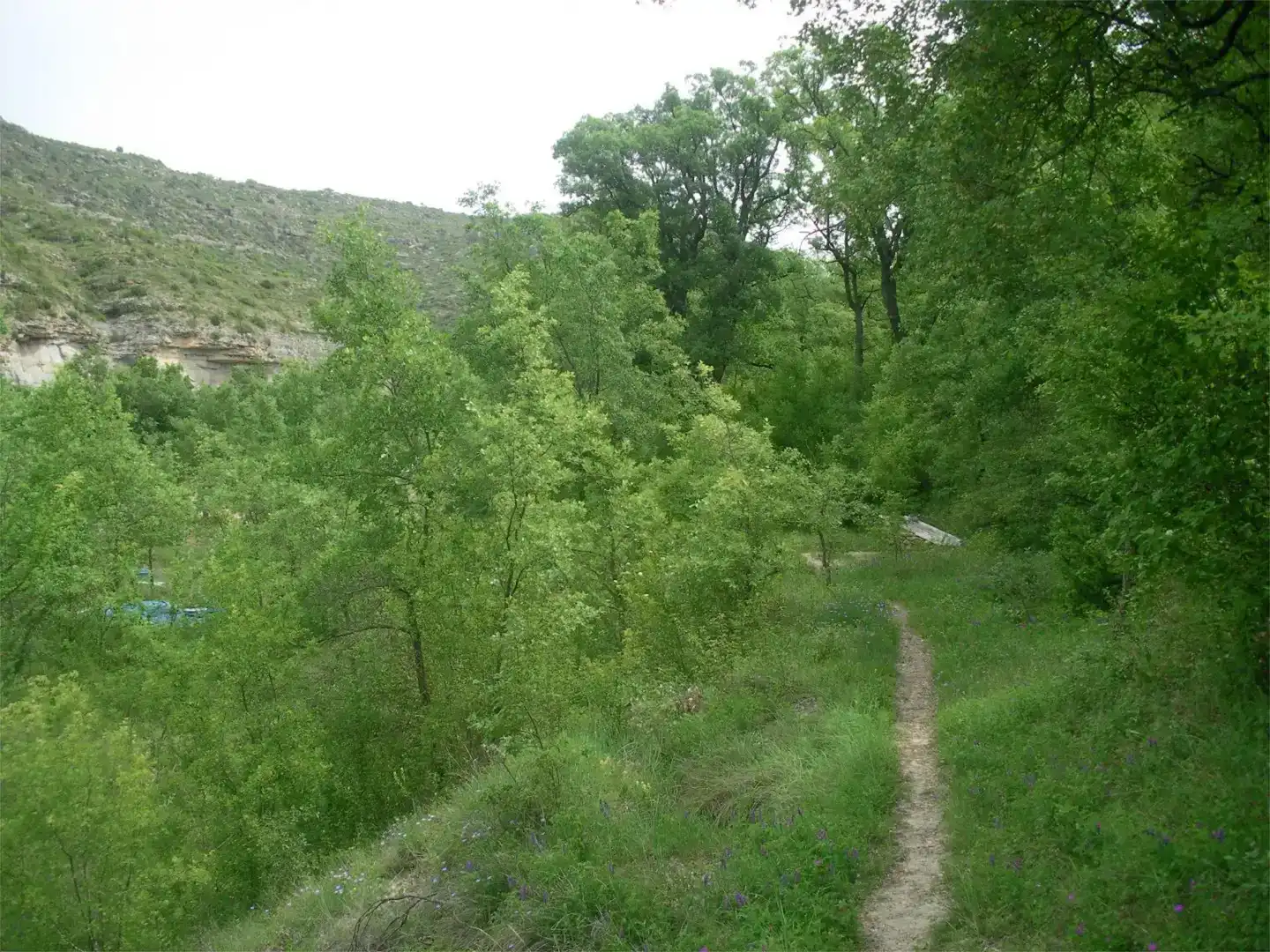 Finca rústica en venda en Sant Esteve de la Sarga, Lleida