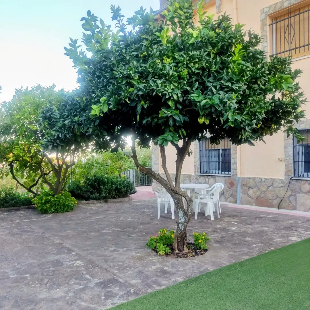 Chalet en venta en Calle del Rozo
