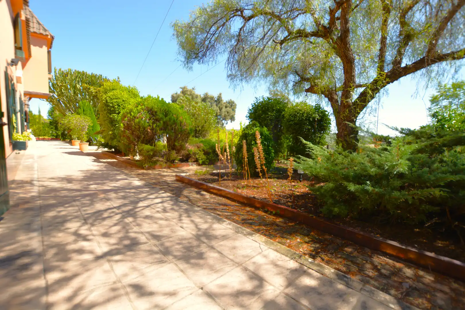 Vista exterior de Casa o chalet en venta en Guillena con Aire acondicionado, Calefacción y Jardín privado