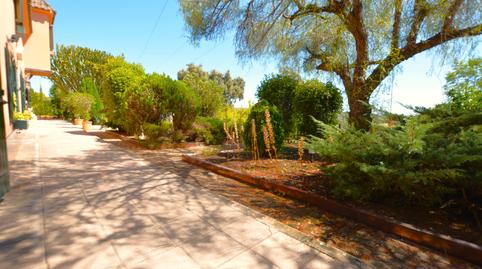 Foto 5 de Casa o chalet en venta en Calle Londres, Las Pajanosas, Guillena