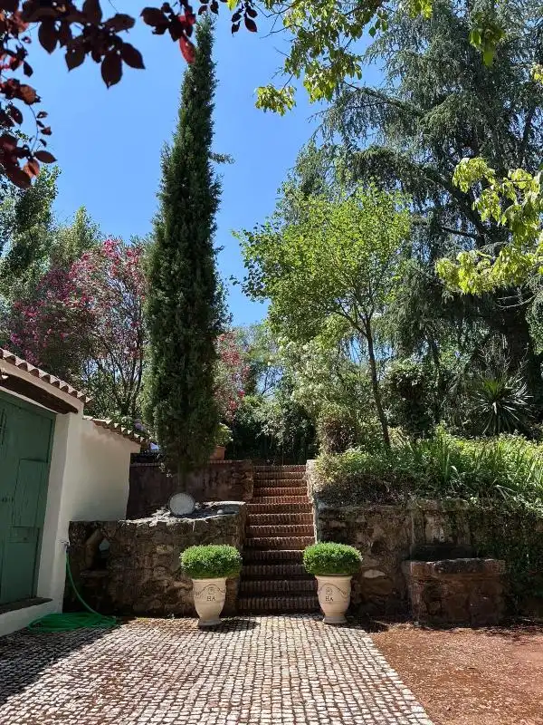 Jardín de Casa o chalet en venta en Aracena con Calefacción, Jardín privado y Terraza