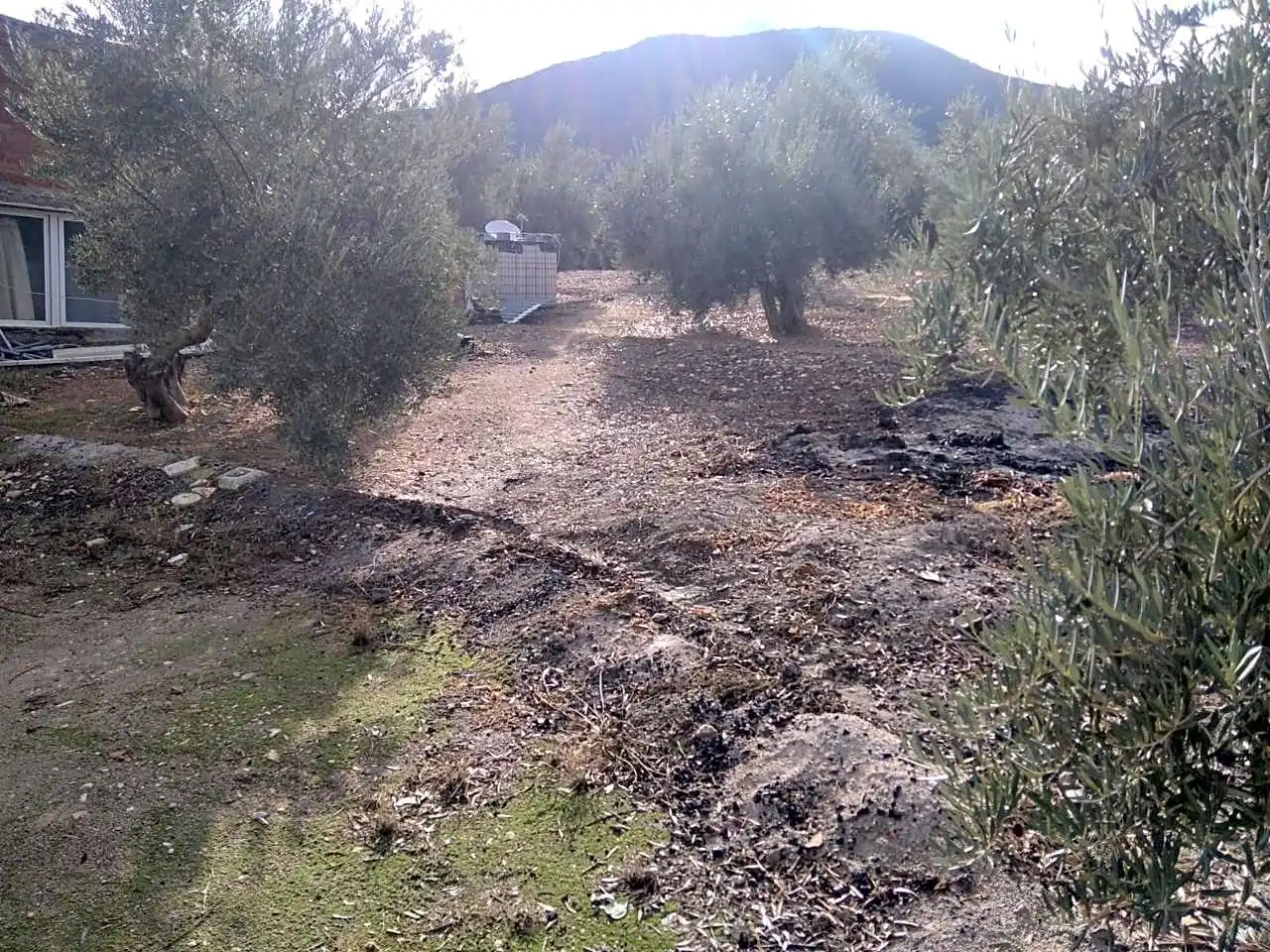 Finca rústica en venta en Benalúa de las Villas con Jardín privado, Terraza y Trastero