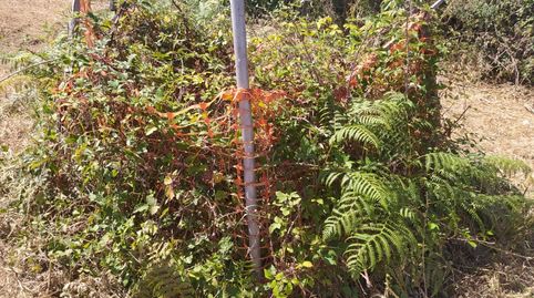 Photo 3 of Residential for sale in Lugar Louriño, 5, Boiro, A Coruña