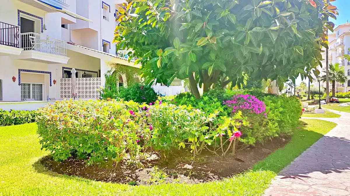 Jardí de Estudi en venda en Marbella amb Aire condicionat, Jardí privat i Terrassa