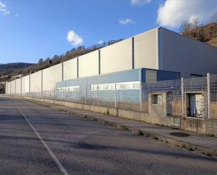 Vista exterior de Nau industrial en venda en Mieres (Asturias)