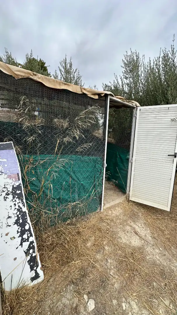 Casa rústica amb jardí en venda a Calle Mirador Sierra de Jaén, imagen 26