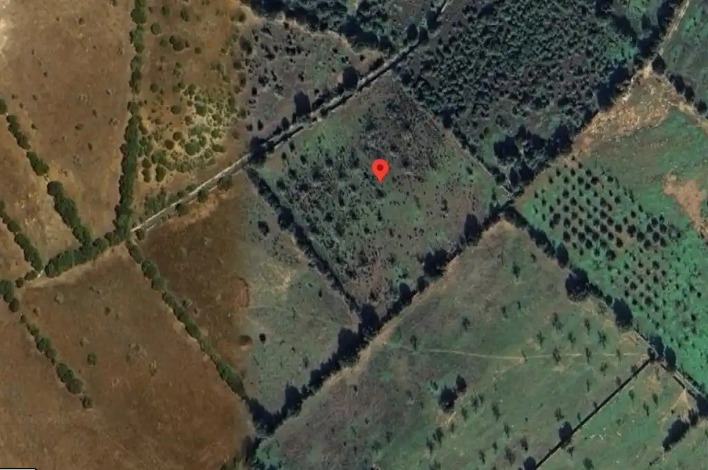 Terreny rústic en venda a Ses Salines Poble, imagen 4