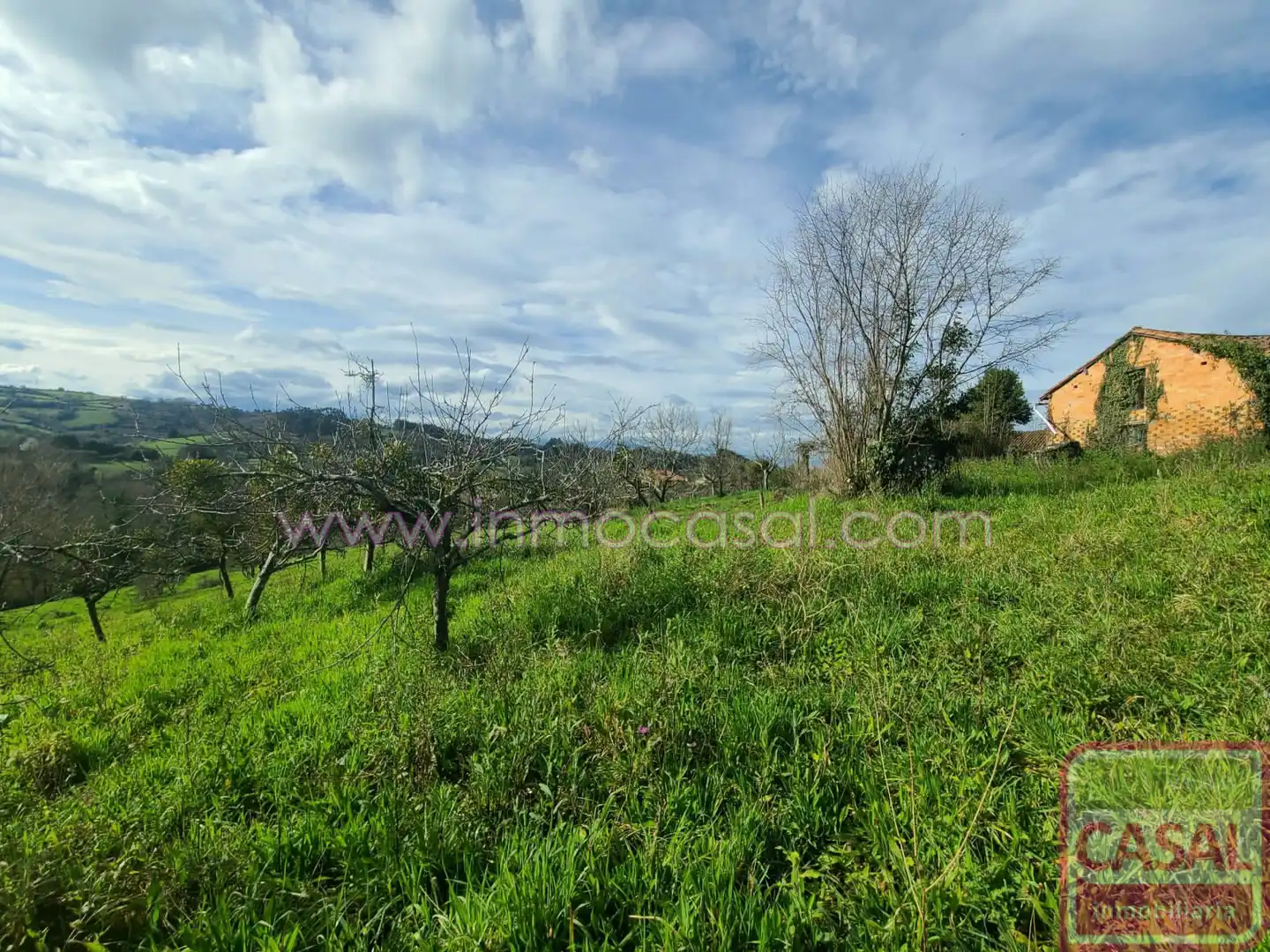 Grundstücke und Bauplätze zum Verkauf in POLIGONO 51 PARCELA 134, EL PANIZAL, imagen 19