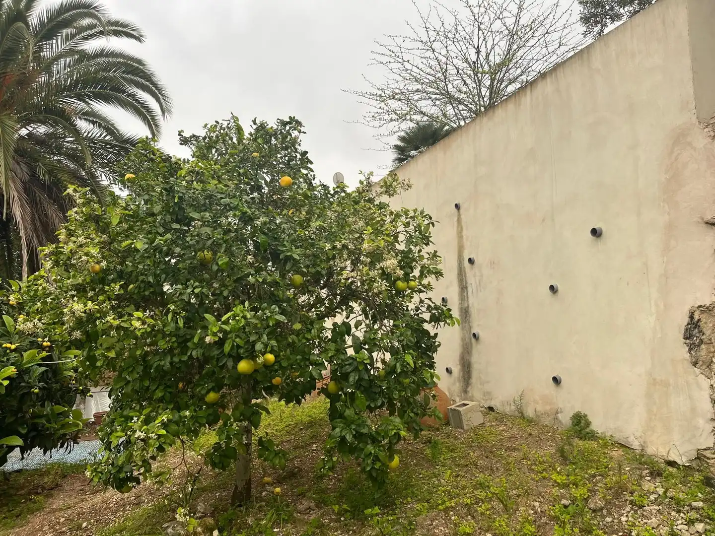 Chalet en venta en Cap Martí - El Tossalet - Pinomar, imagen 39