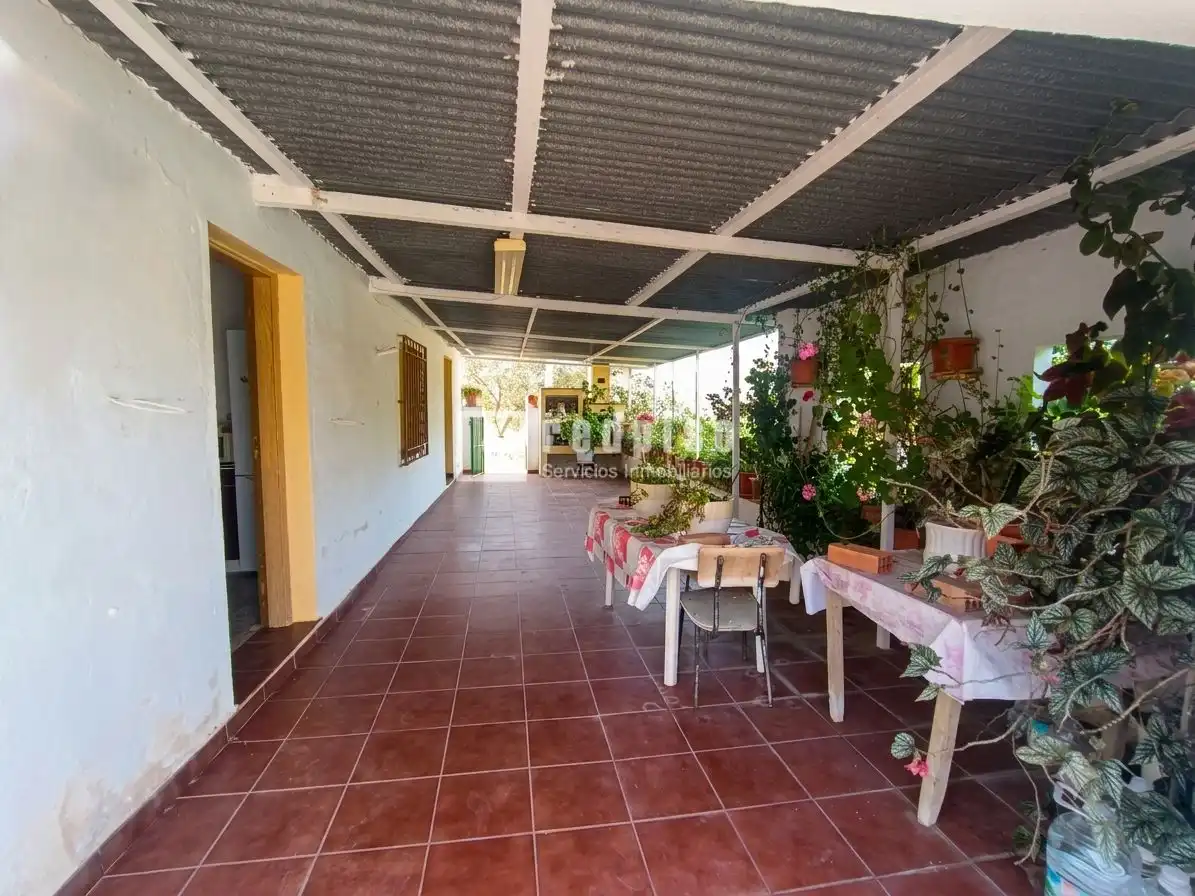 Terrace of Houses for sale in Almogía  with Terrace, Storage room and Swimming Pool