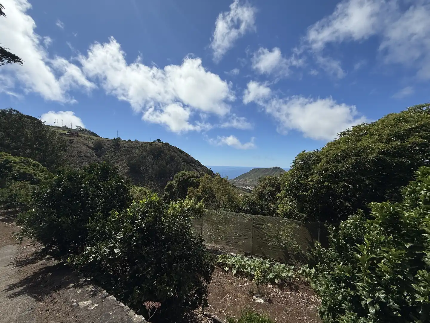 Rural land for sale in Tegueste, imagen 38
