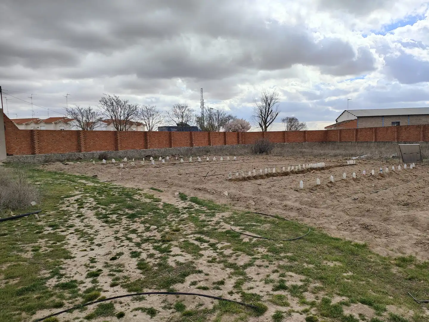 Lands and plots for sale in Corral de Almaguer, imagen 6