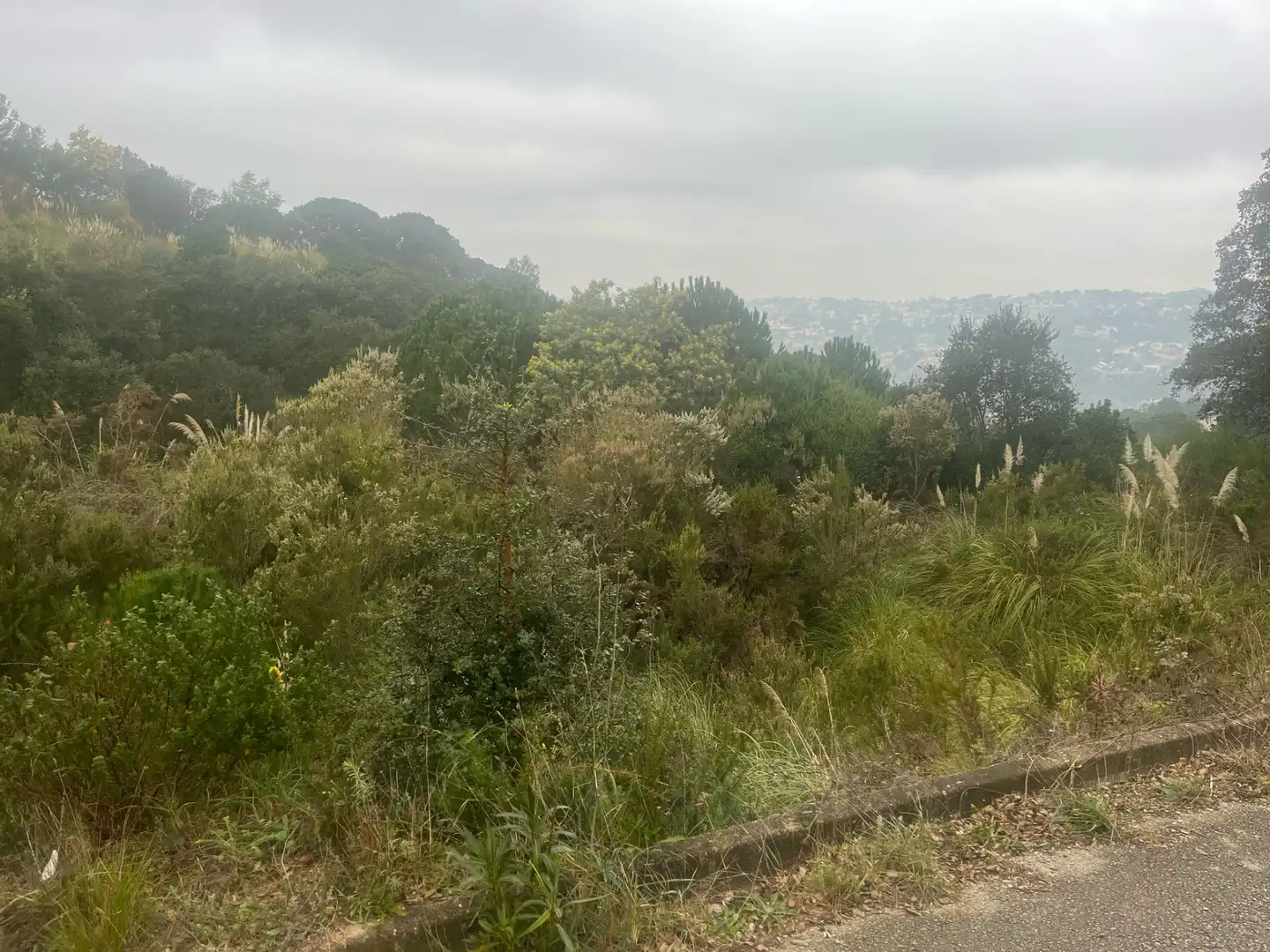 Wohnbaugrundstück zum Verkauf in Lloret Residencial - Montlloret, imagen 3