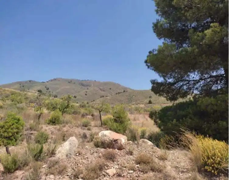 Terreni e lotti in vendita a Pedanías Sur, imagen 2