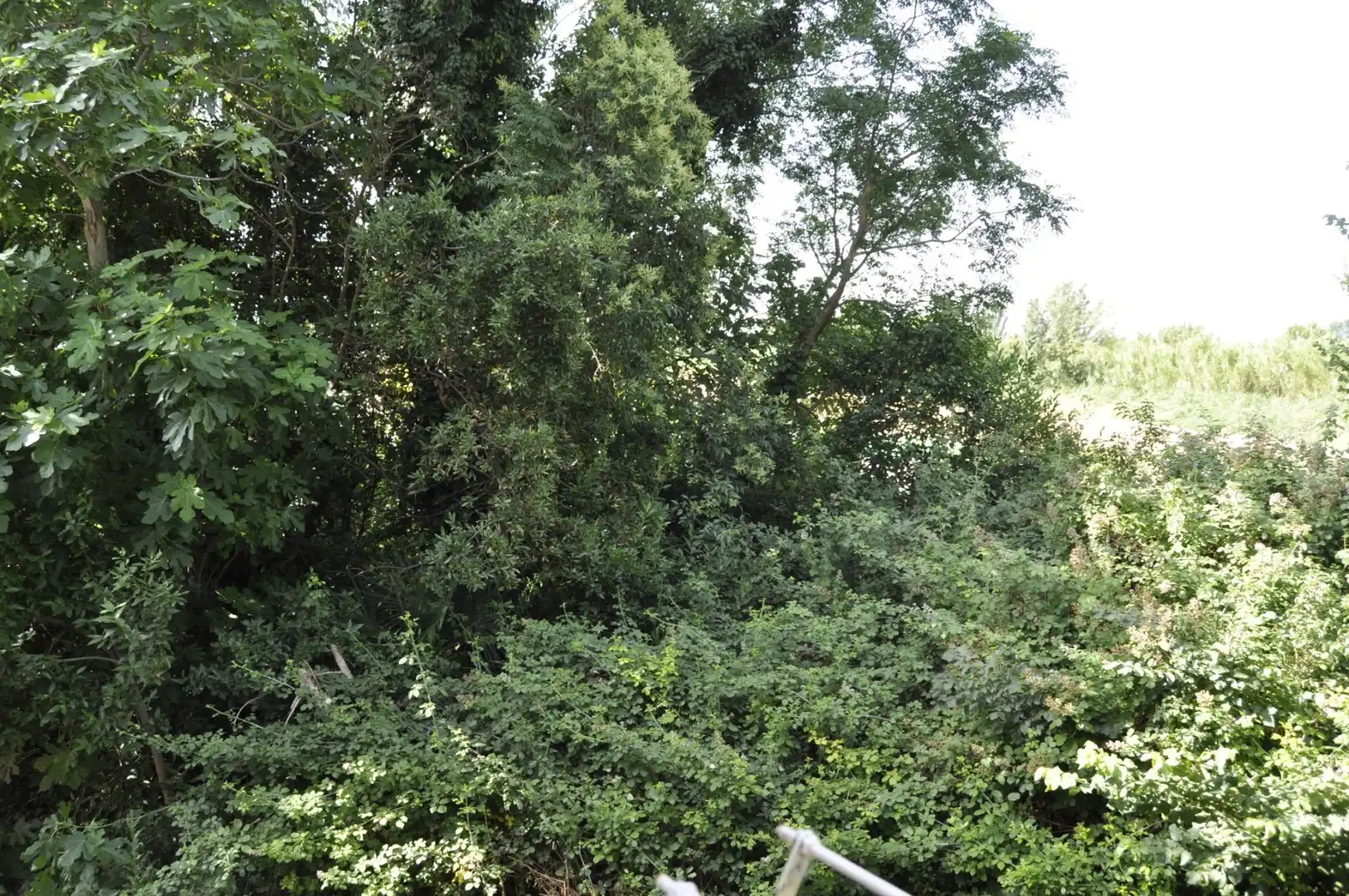 Terreno en venta en Villamayor de Gállego