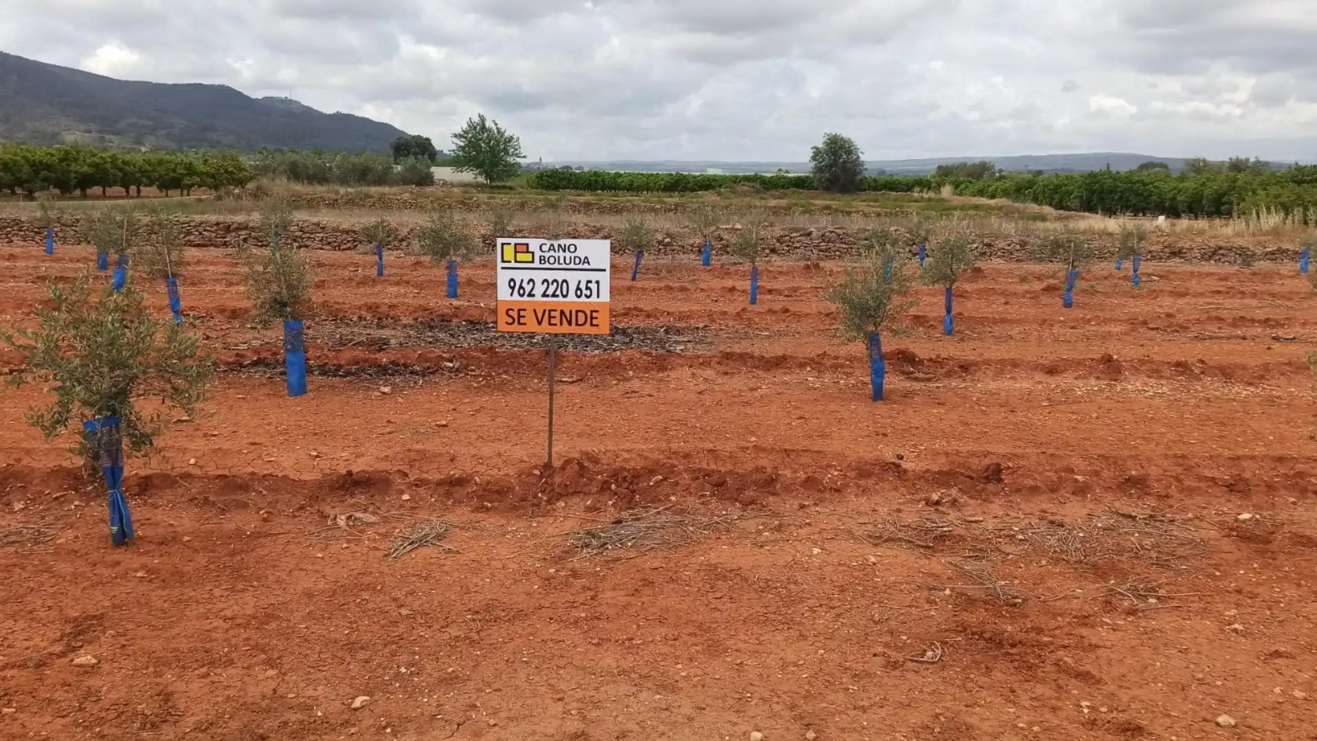 Terreno en venta en Anna