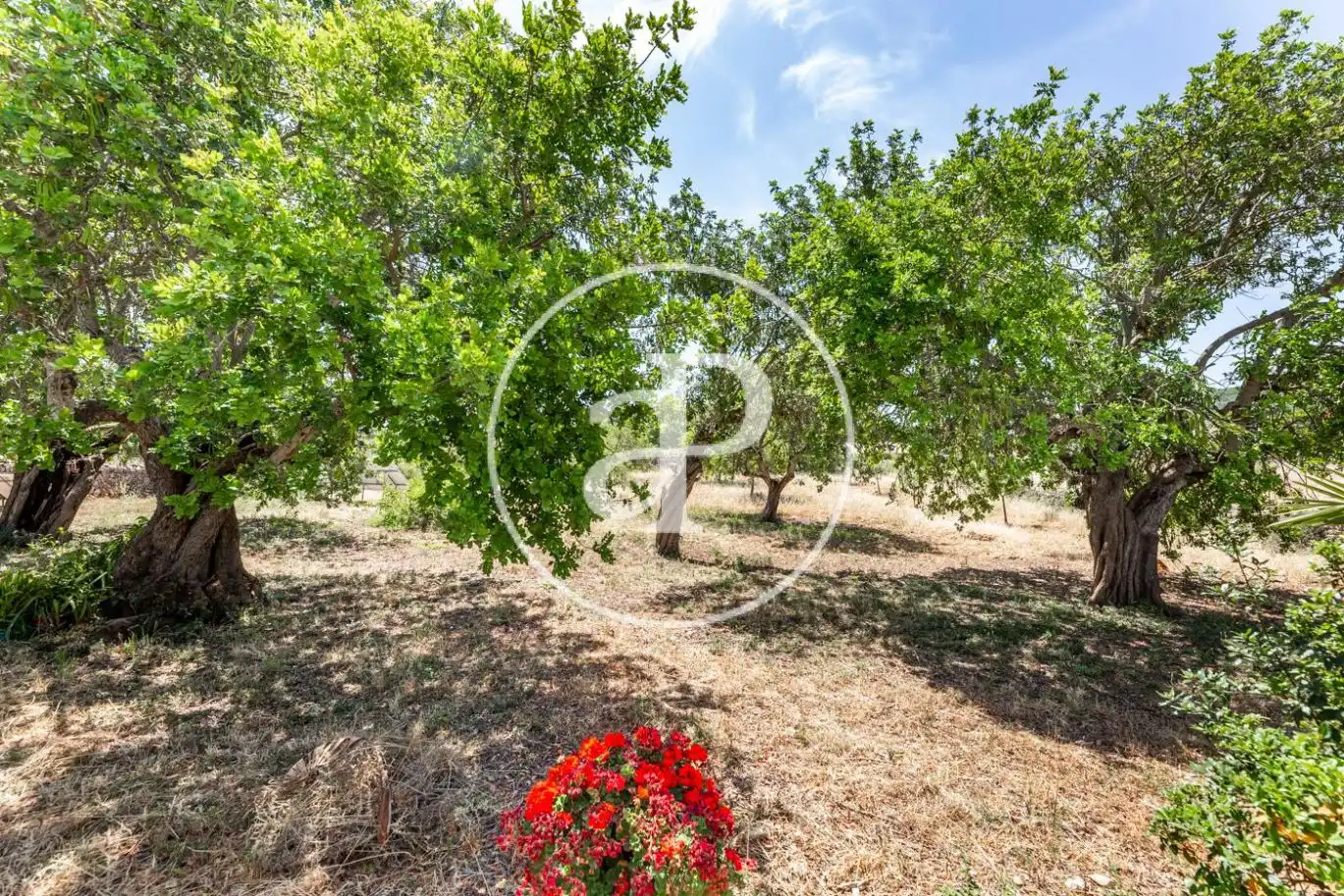 Casa o xalet en venda en Manacor amb Calefacció, Jardí privat i Terrassa