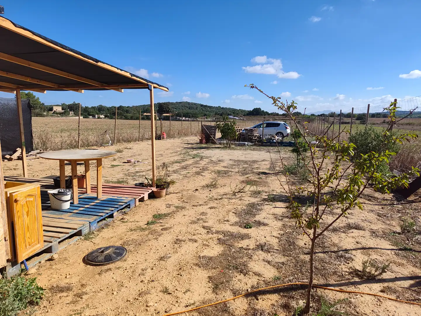 Rural land for sale in Sineu, imagen 4