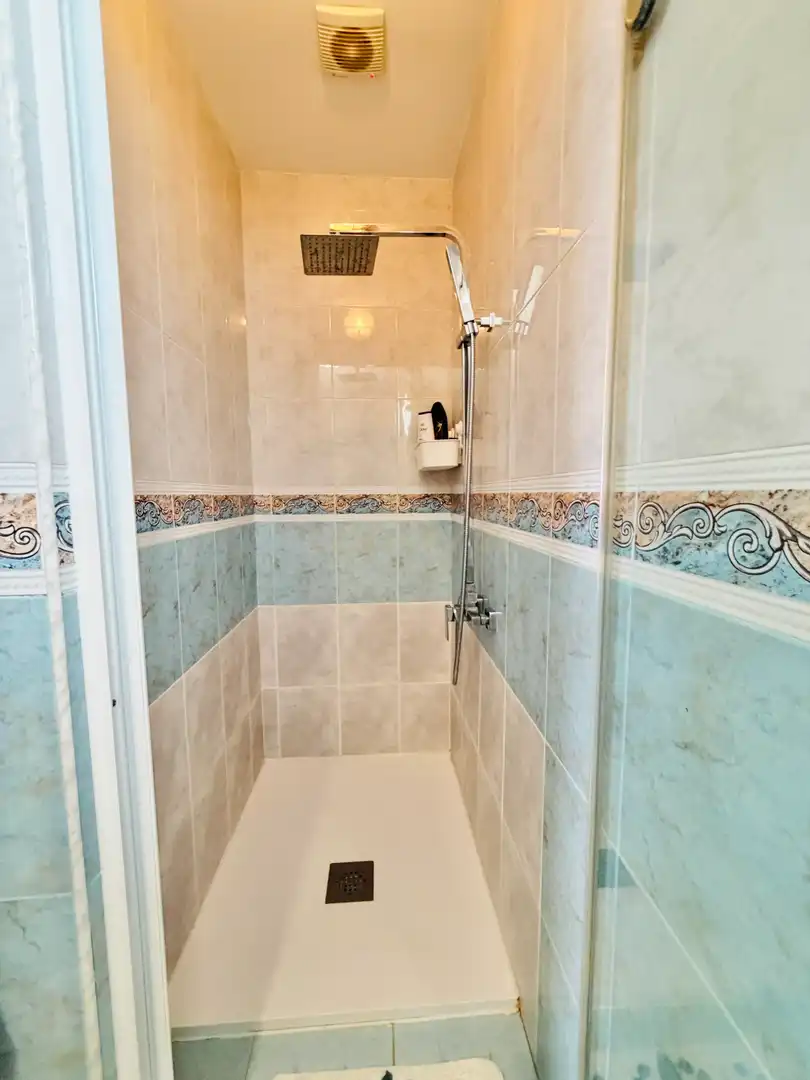 Bany de Casa o xalet en venda en Adra amb Aire condicionat, Traster i Piscina