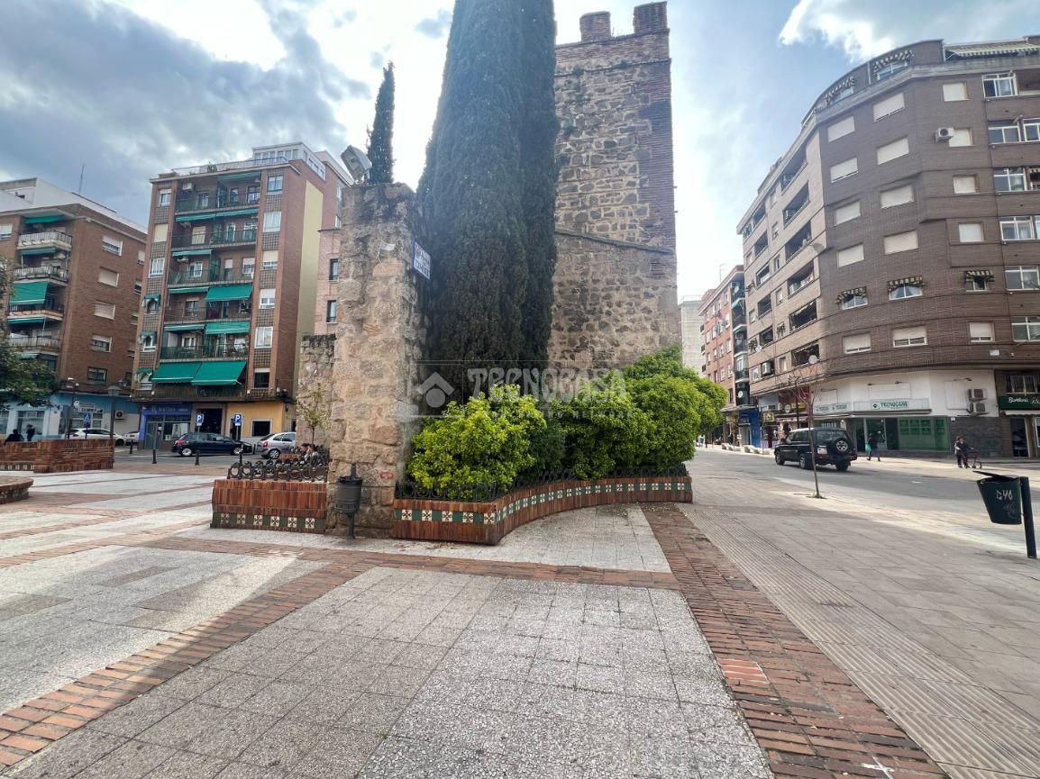 Exterior view of Flat to rent in Talavera de la Reina  with Air Conditioner and Heating