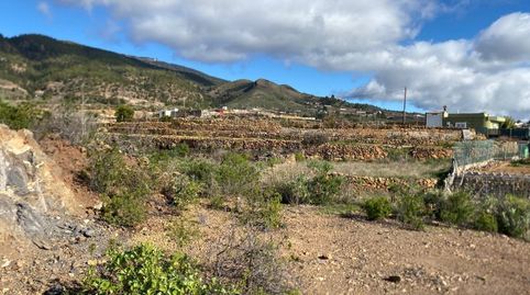Foto 5 de Terreny en venda a Charco del Pino, Granadilla de Abona