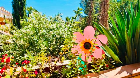 Photo 3 of Planta baja for sale in Lomas de Campoamor - Las Ramblas, Orihuela