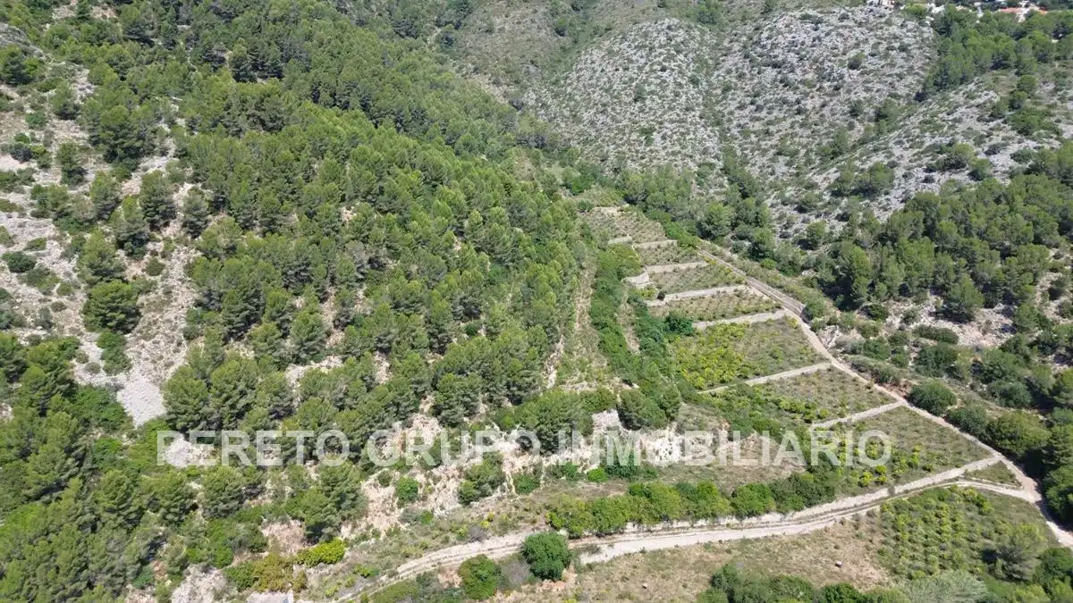 Terreno residencial en venta en Oliva pueblo, imagen 6