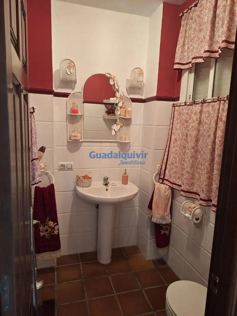 Bany de Casa o xalet en venda en Brenes amb Aire condicionat i Terrassa