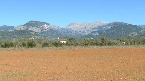 Photo 5 of Country house for sale in Binissalem, Illes Balears