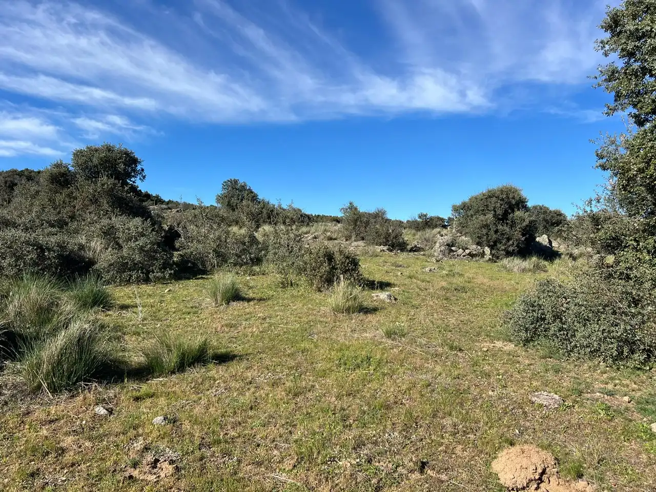 Terreni e lotti in vendita a Tornadizos de Ávila, imagen 28