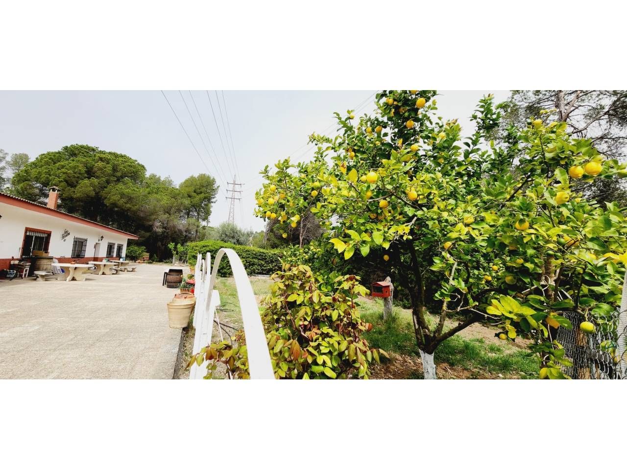 Garden of House or chalet for sale in Rubí  with Heating, Private garden and Parquet flooring