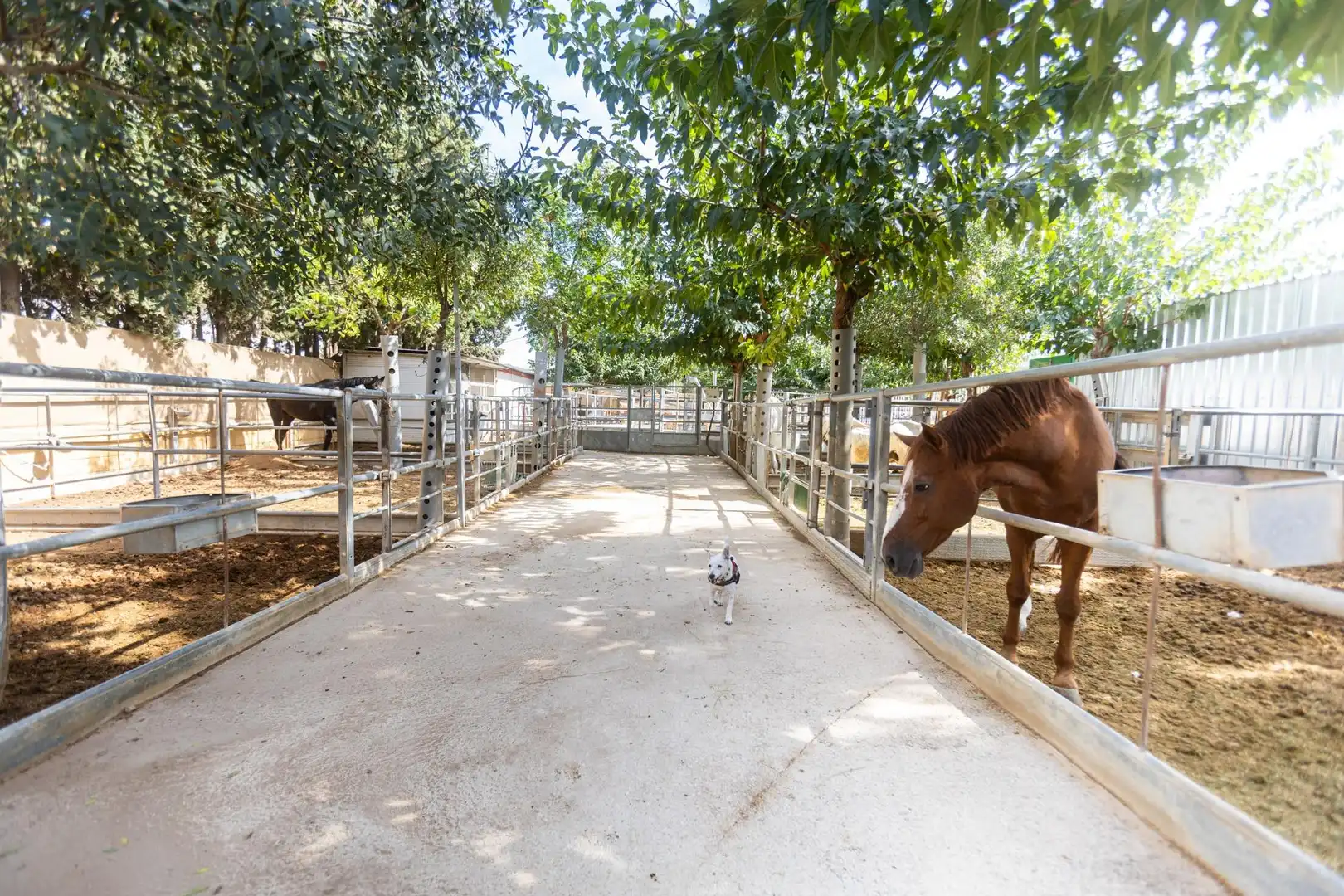 Villa avec balcon à vendre à Pedanías Este, imagen 61