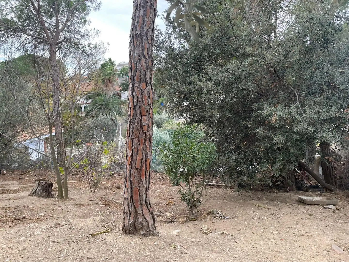 Terreno residenziale in vendita a Els Hostalets de Pierola, imagen 15