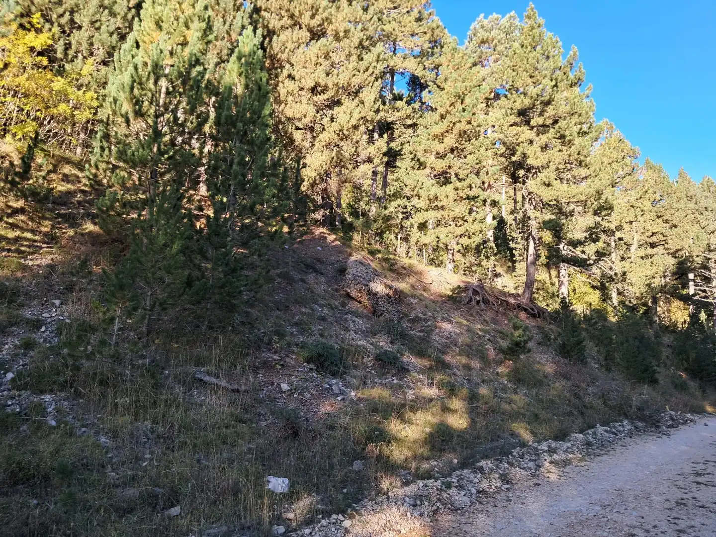 Residential zum Verkauf in La Coma i la Pedra