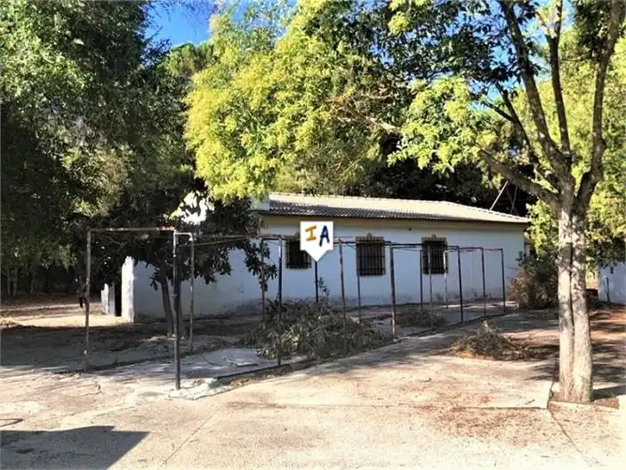 Casa rustica in vendita a Los Villares, imagen 2