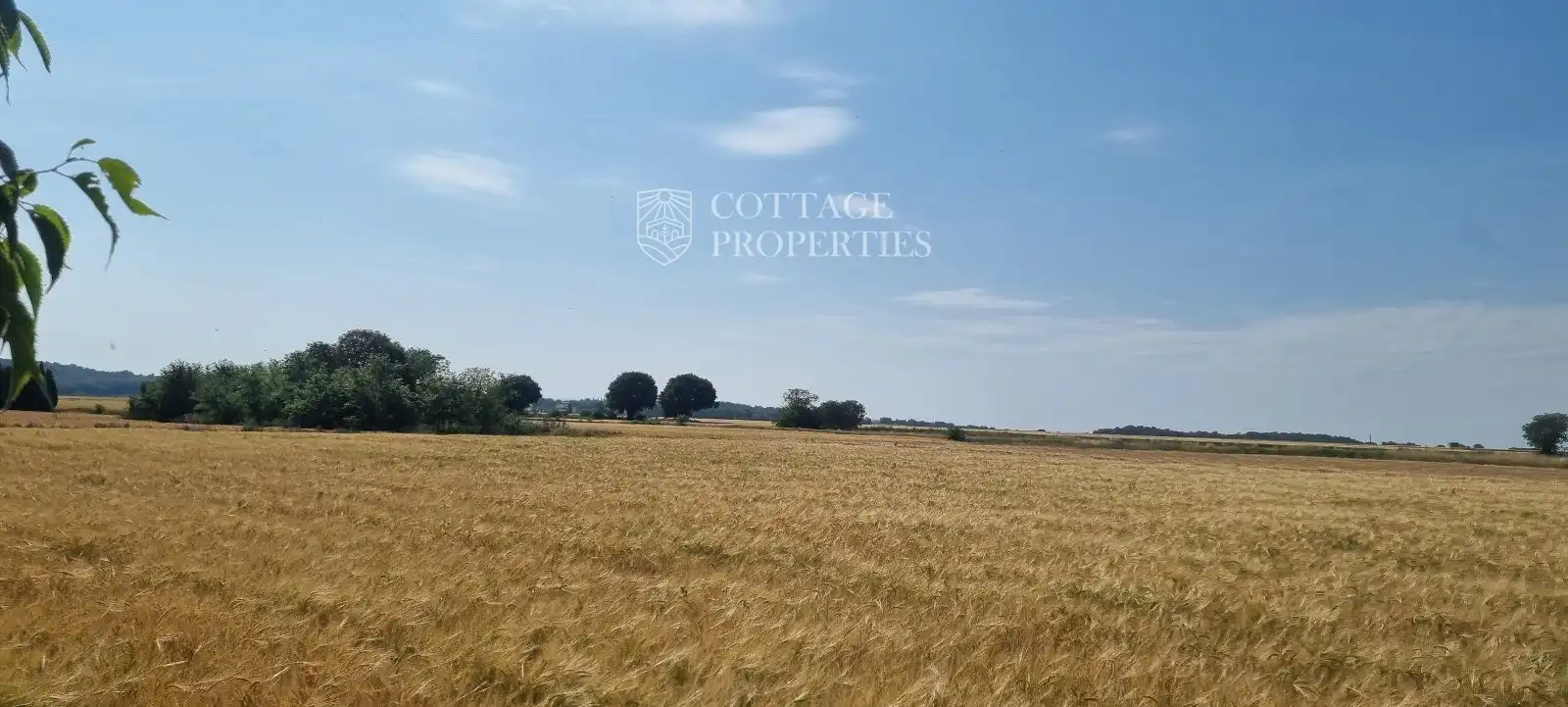 Finca rústica en venta en Serinyà