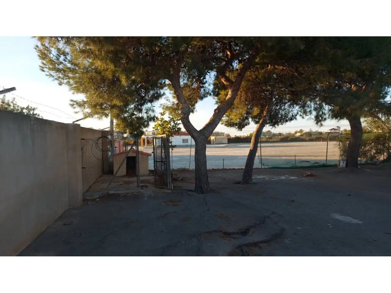 Vista exterior de Casa o xalet en venda en Elche / Elx amb Calefacció, Jardí privat i Piscina