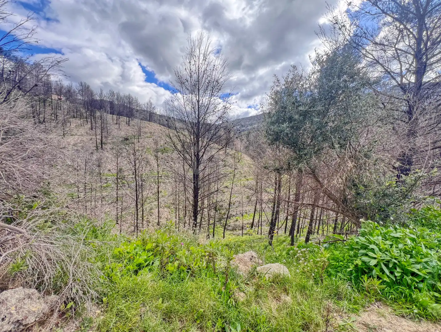 Residential for sale in Tàrbena