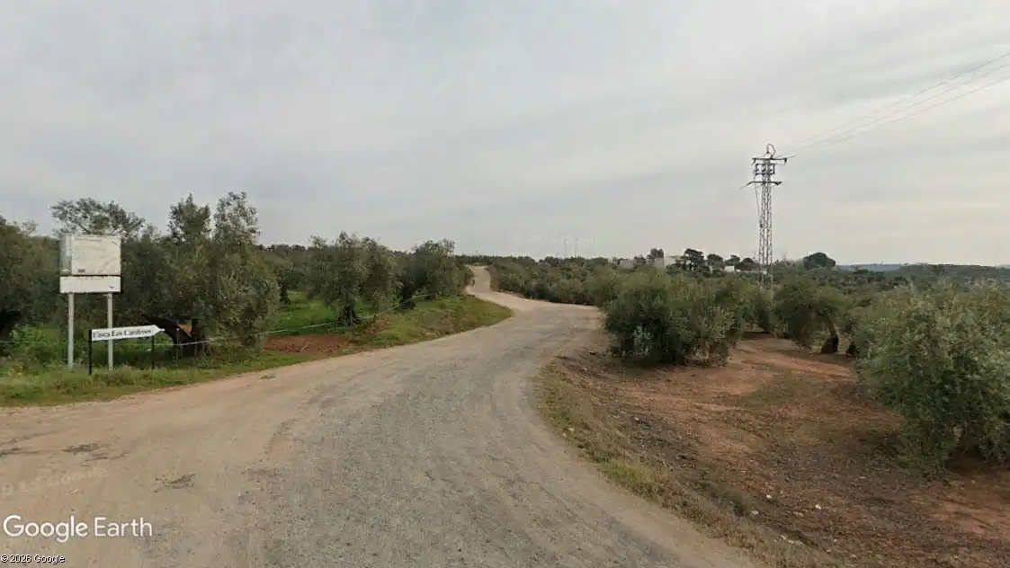Rustikales Grundstück zum Verkauf in Montoro, imagen 3