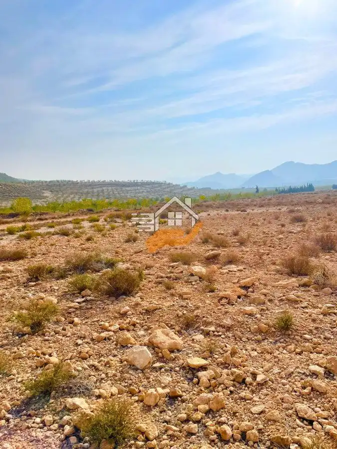 Residential land for sale in Vélez-Rubio, imagen 3