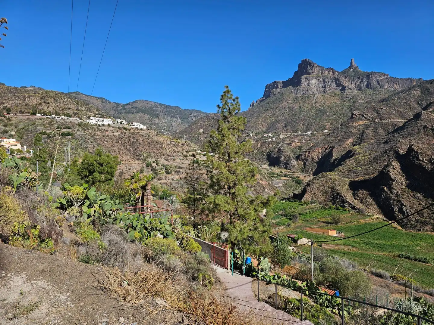 Vista exterior de Finca rústica en venta en Tejeda