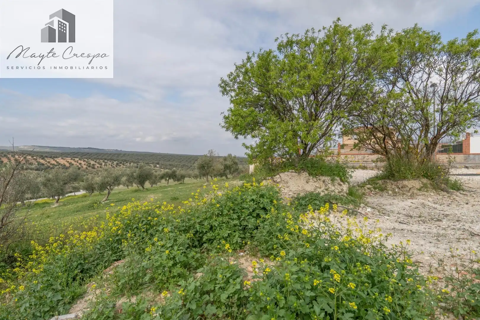 House with pool for sale in Calle del Geranio 29, imagen 49