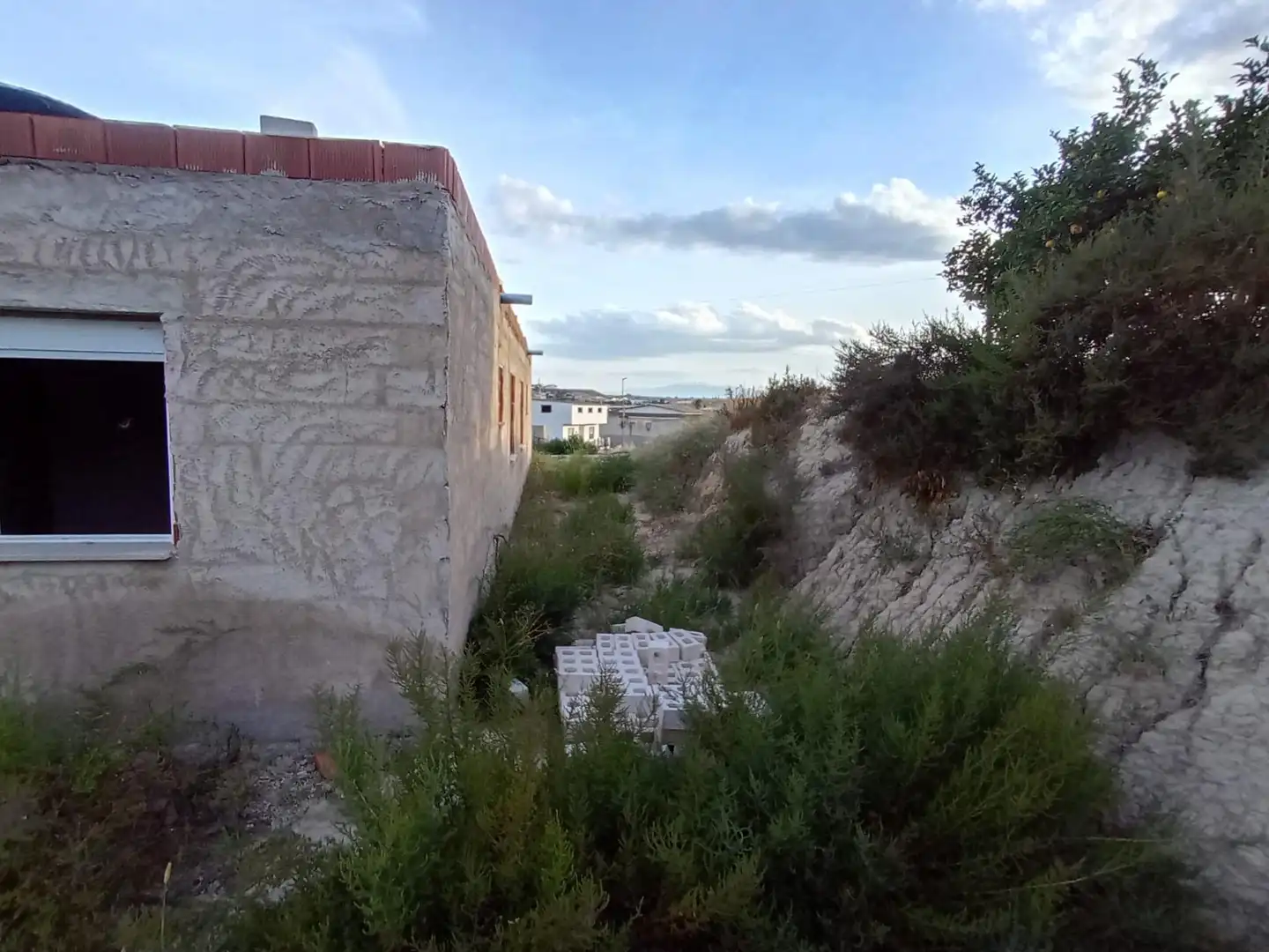Rural land for sale in Archena, imagen 9