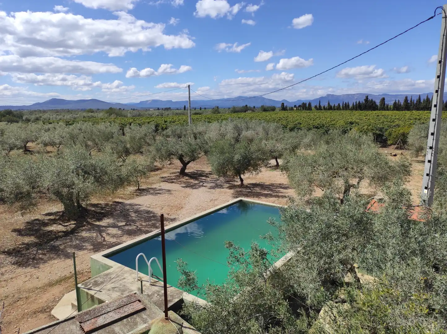 Terreno rustico in vendita a Traiguera