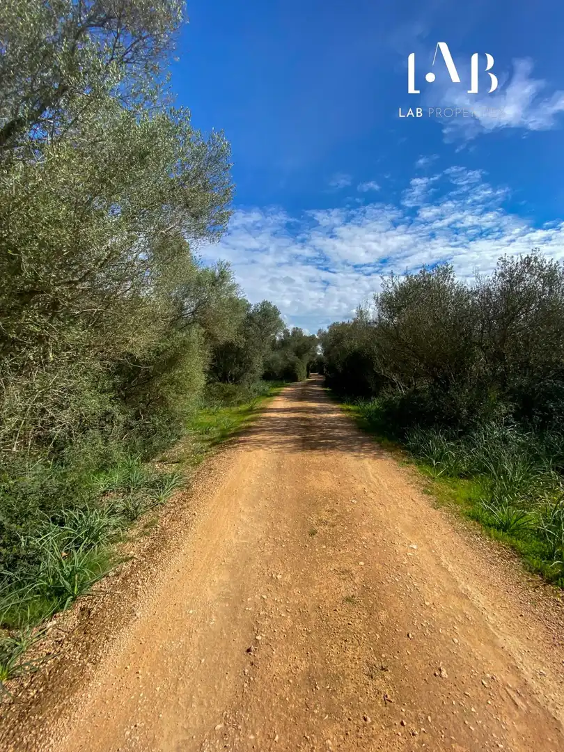 Grundstücke und Bauplätze zum Verkauf in Camino Polígono 3 Parcela 4 ES RAFALET. ALGAIDA (ILLES B, imagen 2