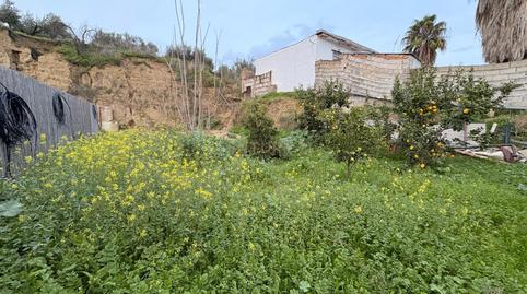 Photo 5 of House or chalet for sale in Pd Borrajo  Polígono 5 Parcela \1. Alhaurin el Gra, -1, Centro, Alhaurín El Grande