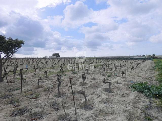 Terreno en Venta en Ctra Jerez - Ctra del Puerto