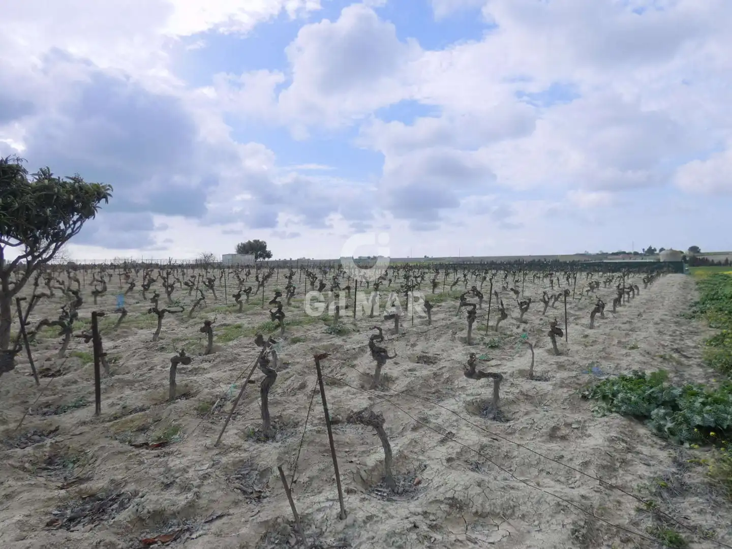 Rustikales Grundstück zum Verkauf in Ctra Jerez - Ctra del Puerto