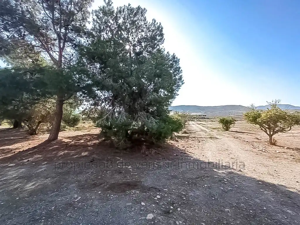 Country homes for sale in Lorca